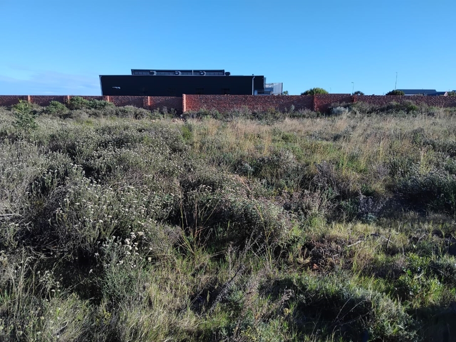 0 Bedroom Property for Sale in Fountains Estate Eastern Cape
